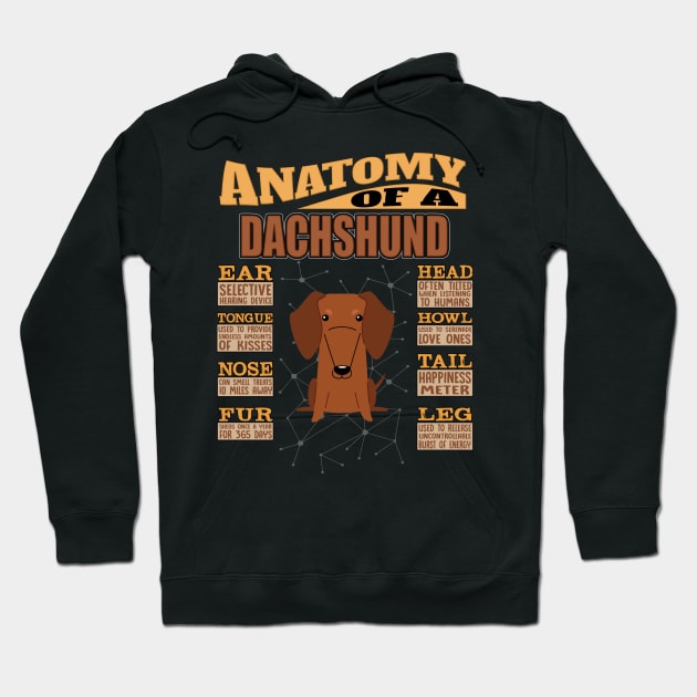 Anatomy Of A Dachshund - Dachshund Teckel, Dackel, Doxie, Weenie Dog , Wiener Dog, Sausage Dog , Salsichinha, Hoodie by HarrietsDogGifts